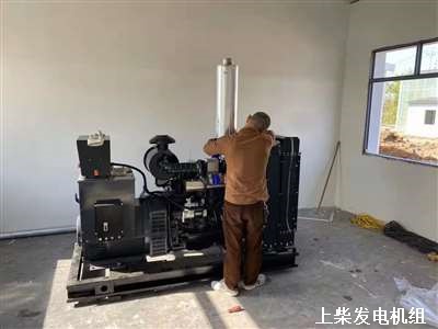 武漢柴油發(fā)電機(jī)組 供貨